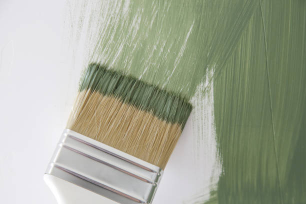 Mold Documentation for Insurance Claims in Barton Creek, TX